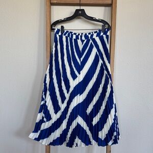Anthropologie Navy & White Chevron Pleated Midi Skirt